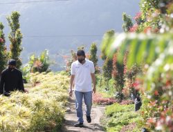 PLN Kembangkan 104 Desa Wisata Melalui Program TJSL