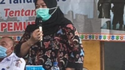 Politisi Demokrat Ini Berharap Pemuda Paham Berorganisasi