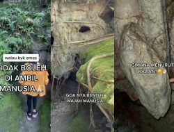 Viral Gua Tao 8 Putri, Konon Banyak Emas di Dalamnya