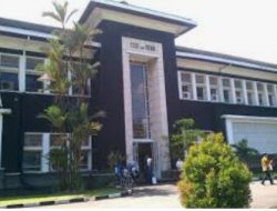 Kemendibudristek dan IPB Kampanye Gerakan Penanaman Pohon Langka