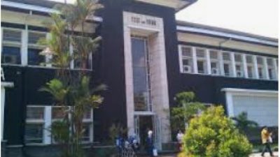 Kemendibudristek dan IPB Kampanye Gerakan Penanaman Pohon Langka