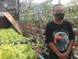 Hindari Kerumunan Dan Bangkitkan Ekonomi, Warga Diminta Beli Sayuran Dari Tetangga