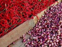 Kemendag Waspadai Potensi Anjloknya Harga Cabai dan Bawang Merah