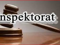 Peran Inspektorat di Daerah Dinilai Seperti “Macan Ompong”
