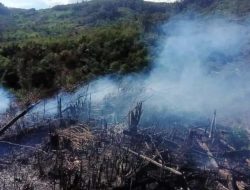 Tim Gabungan Berjibaku Padamkan Kebakaran Hutan di Aceh Tengah 