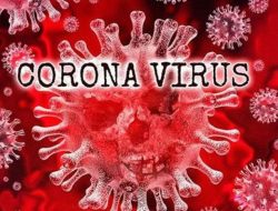 Wagub DKI Tegaskan Tidak Ada Zona Merah di Ibu Kota Jakarta