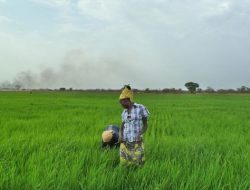 Anggota DPR: Atasi Kendala Infrastruktur Jaringan Program Kartu Tani