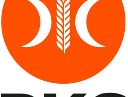 Mencermati Gaya PKS Garis “Fulus”