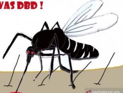Jelang Musim Penghujan, Warga Diminta Waspada DBD
