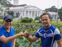 Bima Arya Ikut Perintah Ketum PAN Pilih DKI atau Jabar