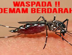 Pemkot Bekasi Siapkan 500 Liter Larvasida