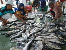 KKP Target Terbitkan 10.500 Sertifikat GMP Terkait Pengolahan Ikan