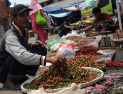 Disperindag Akui Penggunaan Kantong Plastik Masih Tinggi