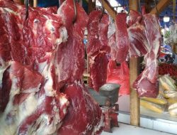 Masyarakat Desak Pengolahan Daging Sapi Wajib Melalui BUMN