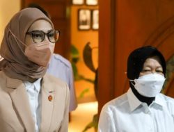 Stafsus Presiden Dorong Penerbitan NIK Bagi Penyandang Disabilitas