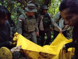 DPO Teroris MIT Berhasil Dilumpuhkan