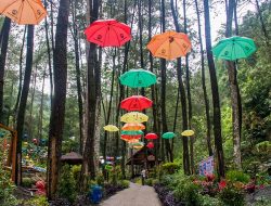 Aturan Ketat Perlu Diterapkan di Tempat Wisata Selama Lebaran