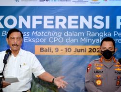 Luhut: Perusahaan tak Dukung Kebijakan Minyak Goreng Bakal Diaudit