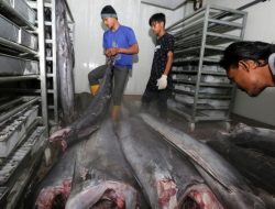 Anggota DPR Minta Program Maluku Lumbung Ikan Jadi Prioritas KKP