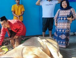 Partai Demokrat Kepulauan Seribu Potong 2 Sapi dan 7 Kambing