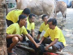 Golkar DKI Salurkan 53 Hewan Kurban ke Masyarakat