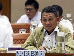 Menteri ESDM Jelaskan Kronologi Soal Divestasi Saham Vale Indonesia