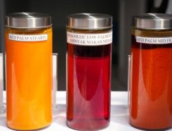 SPI Apresiasi Pemerintah Bangun Pabrik Minyak Makan Berbasis Koperasi