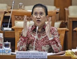 Smelter Freeport Bagian Penting Ekosistem Baterai Kendaraan Listrik