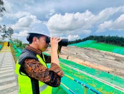 Jokowi Minta Pembangunan Infrastruktur IKN Harus Perhatikan Lingkungan