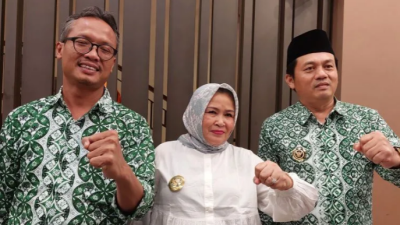 Papdesi: Revisi UU Desa Tidak Hanya Soal Perpanjangan Jabatan Kades