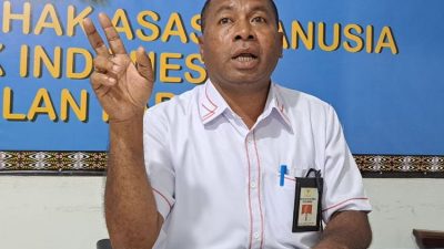 Komnas HAM Berharap Pemprov Papua Pegunungan Terlibat Pembebasan Pilot