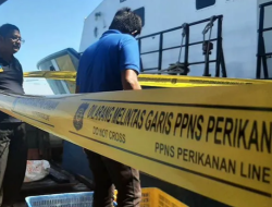 PSDKP Banda Aceh: Dua Nakhoda Kapal Nelayan jadi Tersangka Ikan Ilegal