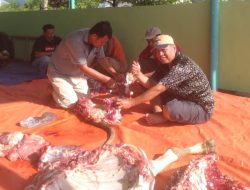 Potong 2 Sapi dan Beberapa Kambing, Sosialita Novita Emilda: Idul Adha Mengajarkan Keikhlasan