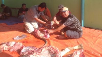 Potong 2 Sapi dan Beberapa Kambing, Sosialita Novita Emilda: Idul Adha Mengajarkan Keikhlasan