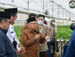 Wapres Ajak Diaspora Muda Gunakan Hak Pilih pada Pemilu 2024