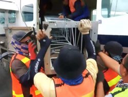 Rohadi Berikan Kesaksian Menarik dalam Kasus Proyek BTS 4G, Pekerja Keras dengan Integritas Tinggi