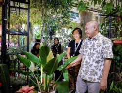 MenKopUKM Ingin Eksosistem Tanaman Hias Terbentuk Perluas Nilai Ekspor