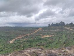 Pemkab Bulungan Petakan kawasan Sawit dan Hutan
