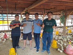 Caleg PAN Dapil Jabar 9, Qadar Ruslan Siap Perjuangkan Aspirasi Peternak Unggas Di Sumedang