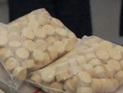 Polres Rohil Tangkap Pengedar Narkoba Sebabkan Seorang Polisi Tewas