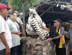 Fransiscus Go Menyapa Masyarakat Flores