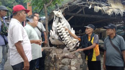 Fransiscus Go Menyapa Masyarakat Flores