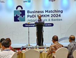Kementerian BUMN Terus Memperluas Pemasaran UMKM Melalui Platform PaDI