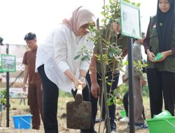 Kementerian LHK Pastikan Tanam Serentak Pulihkan Lahan Kritis