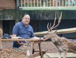Fransiscus Go Menilai Food Estate Peluang Membangun Kesejahteraan dari Lahan yang Tertidur
