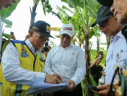 Mentan Amran Cek Area Pompanisasi di Subang, Jawaban Peningkatan Produksi di Tengah El Nino