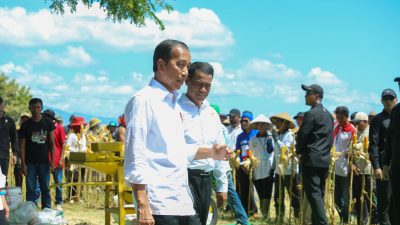 Presiden Jokowi Tekankan Pentingnya Menjaga Kesimbangan Harga, Bersama Mentan Amran Tinjau panen Jagung di Sumbawa