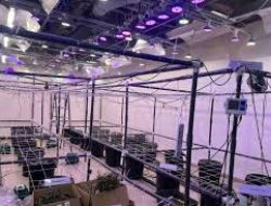 Bareskrim Polri Ungkap Tiga WNA Pemilik Laboratorium Narkoba di Bali