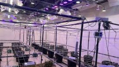 Bareskrim Polri Ungkap Tiga WNA Pemilik Laboratorium Narkoba di Bali