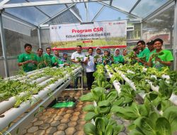 Cihuy, Bank DKI Resmikan Kebun Hidroponik di RPTRA Cibubur